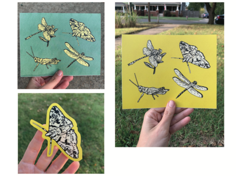  Lindsey Kernodle Woodburnings Lindsey Kernodle Insect sticker sheets 