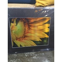 Matted Metal Print Assorted 16"x20"