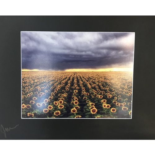  Drone-tography Drone-tography 16x20" Matted Prints 