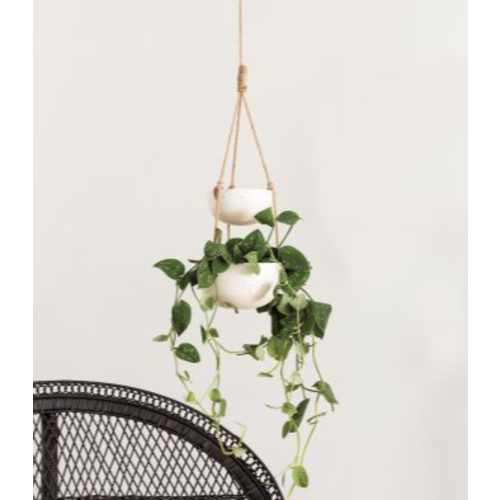  Accent Decor Porch Hanging Pot 7.25 x 31.5 