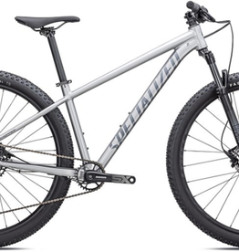 SPECIALIZED Specialized ROCKHOPPER EXPERT L29 - Silver Dust/Black Holographic