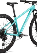 SPECIALIZED Specialized ROCKHOPPER EXPERT M29- Lagoon Blue/Light Silver