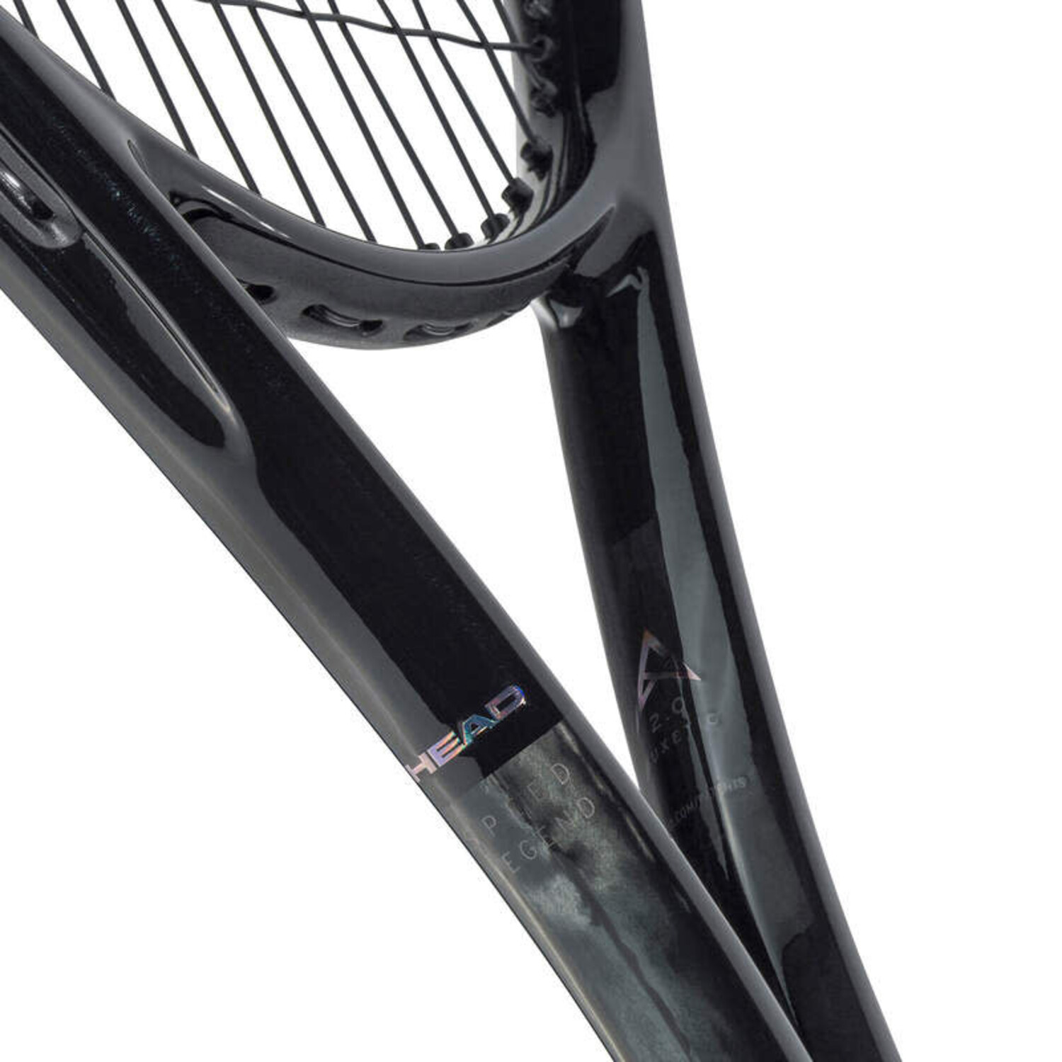 Head Speed Pro Legend 2024 - Cayman Sports - Tennis