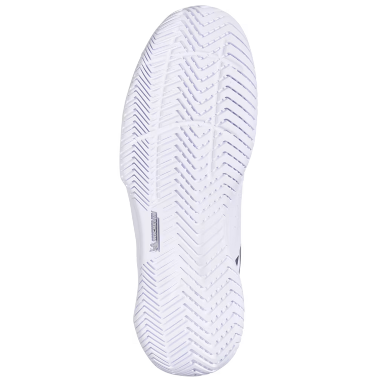 Babolat Babolat SFX Evo All Court Men, Wimbledon 2026