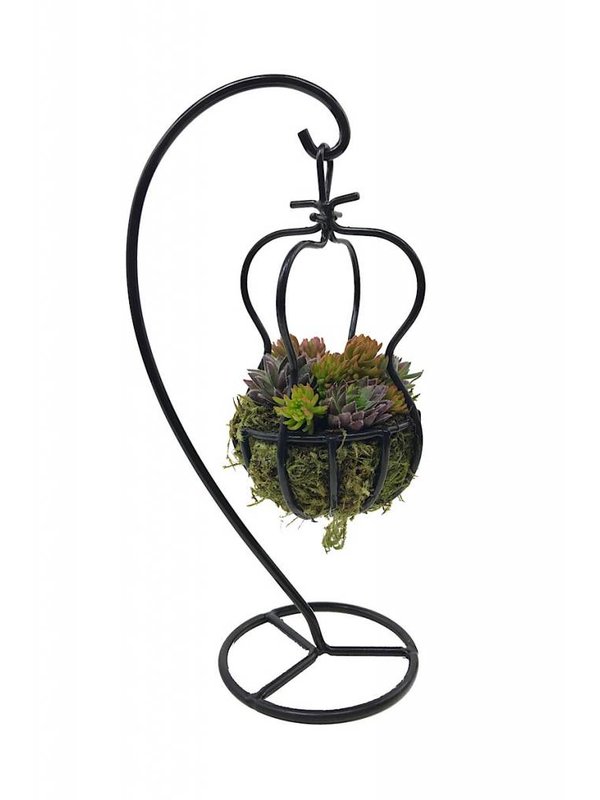 Hanging Baskets The Garden Corner The Garden Corner