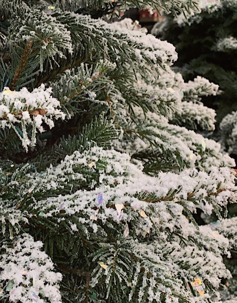 Christmas Tree Flocking Service The Garden Corner