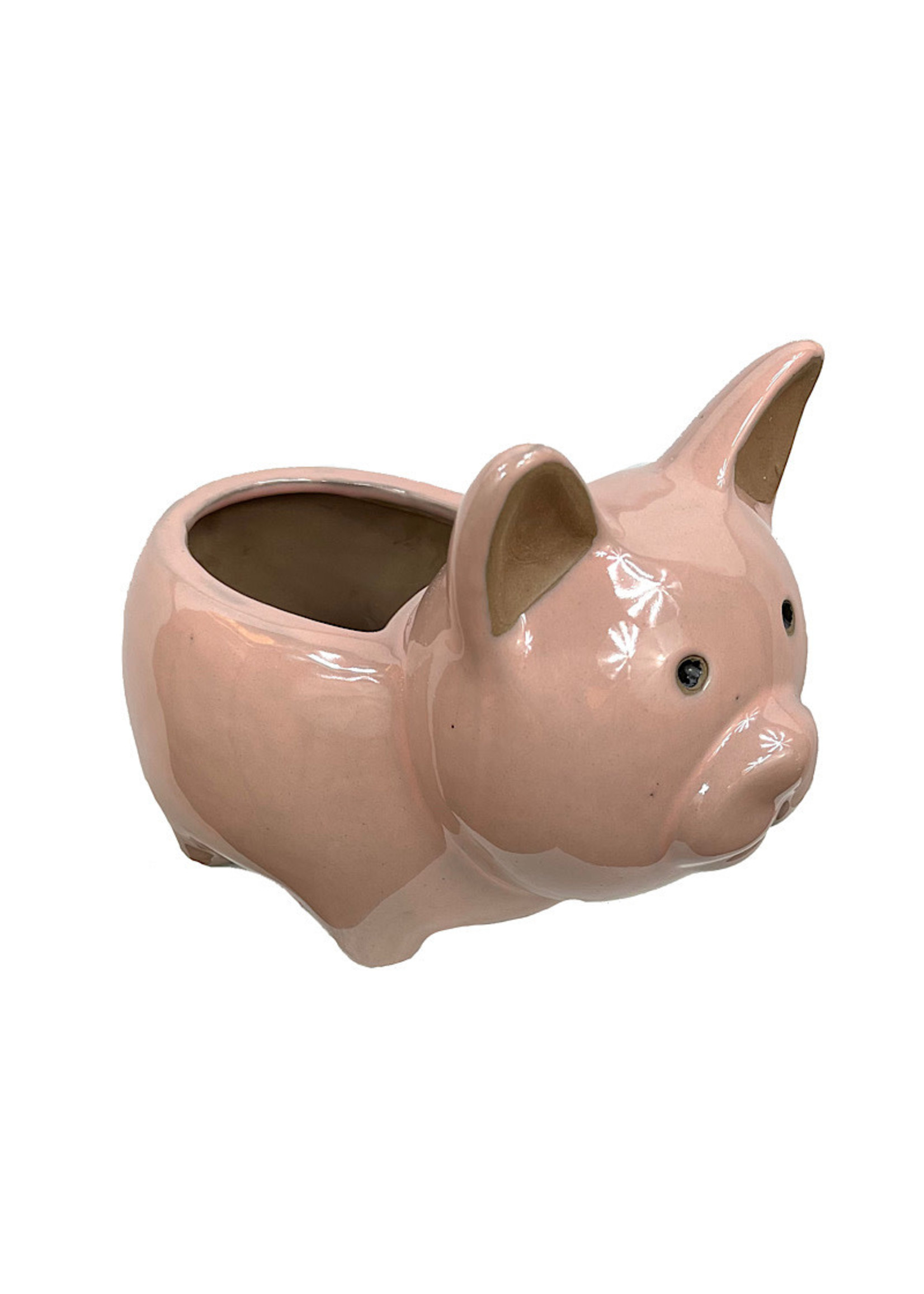 Colored Animal Pot