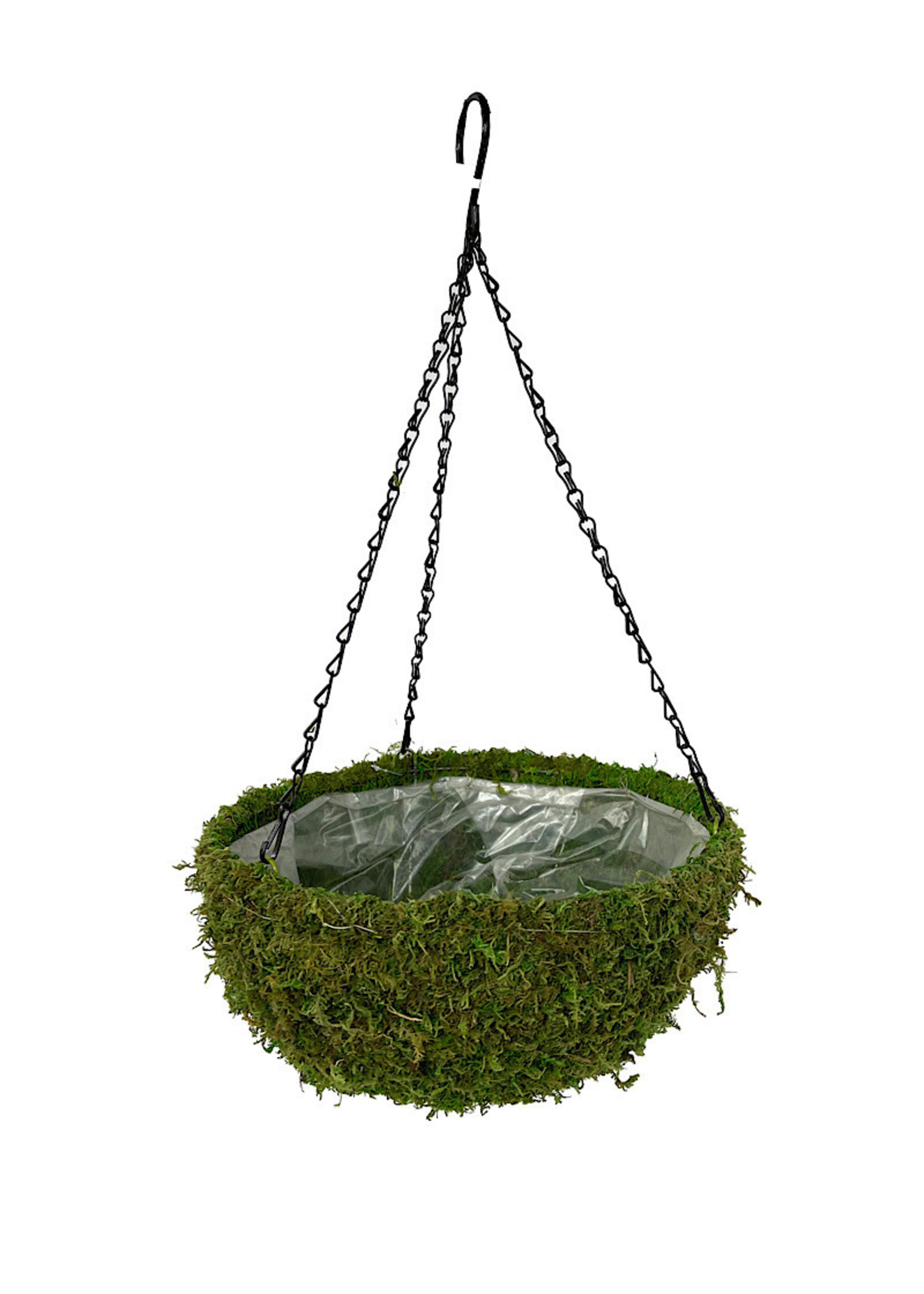 Moss Basket 14 Inch