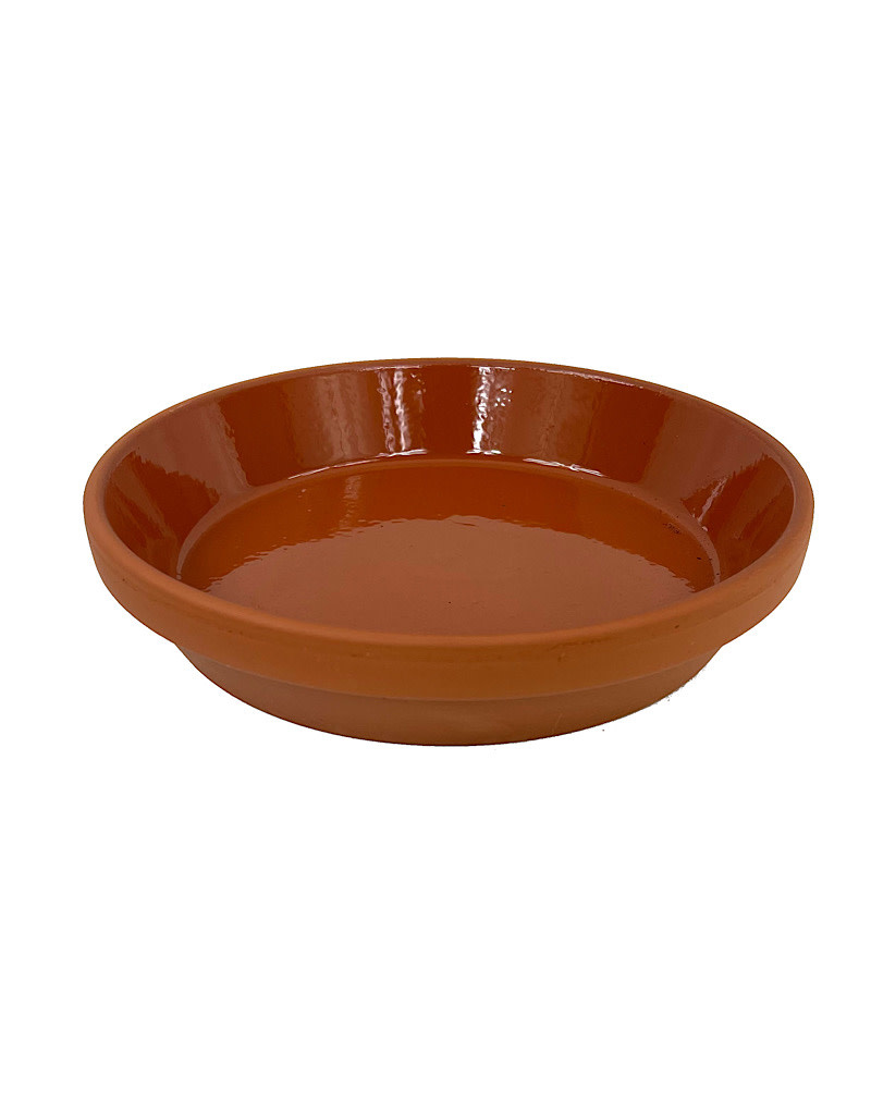 Glazed Terra Cotta Saucer The Garden Corner