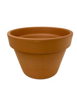 Azalea Terra Cotta Pot