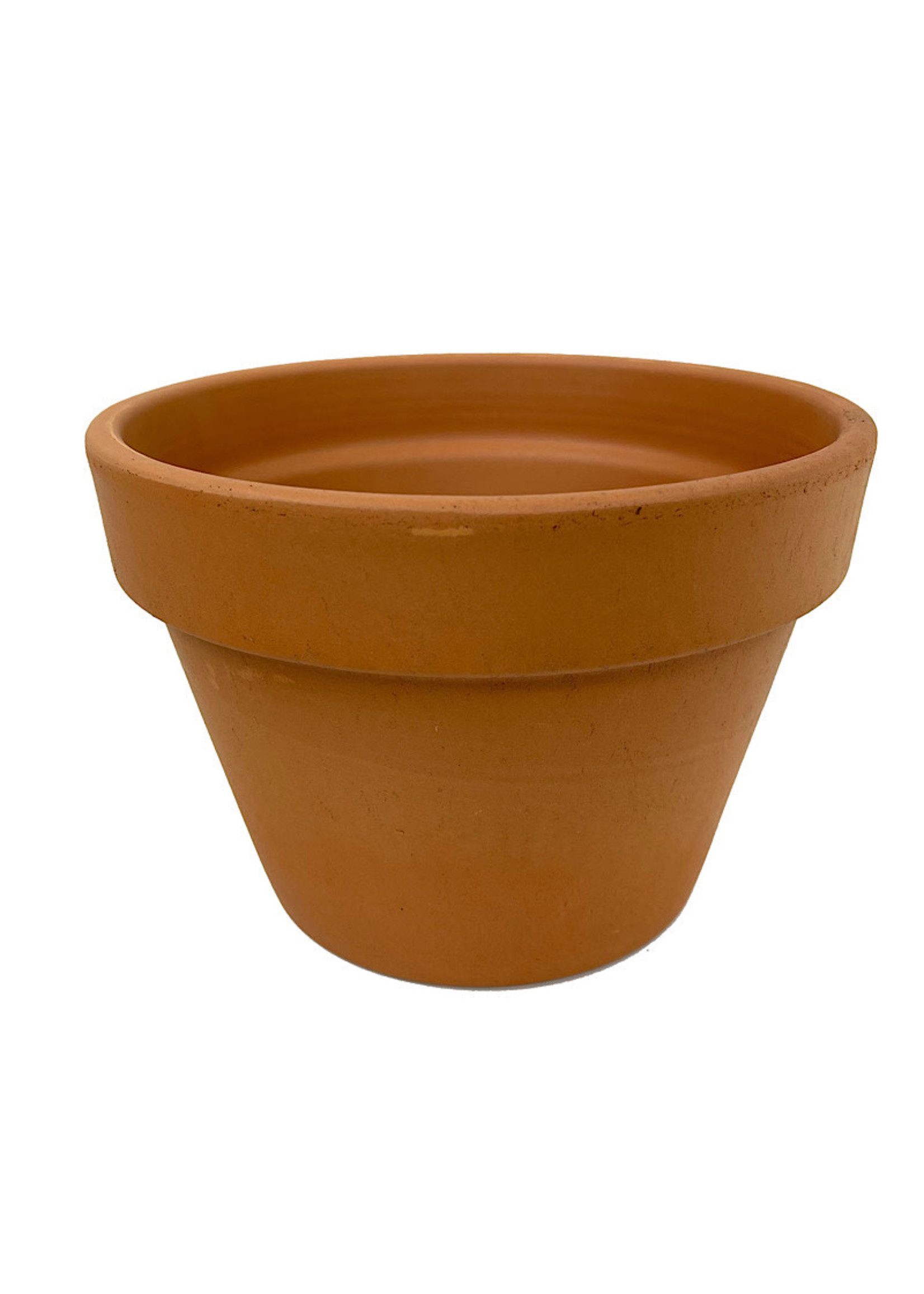 Azalea Terra Cotta Pot