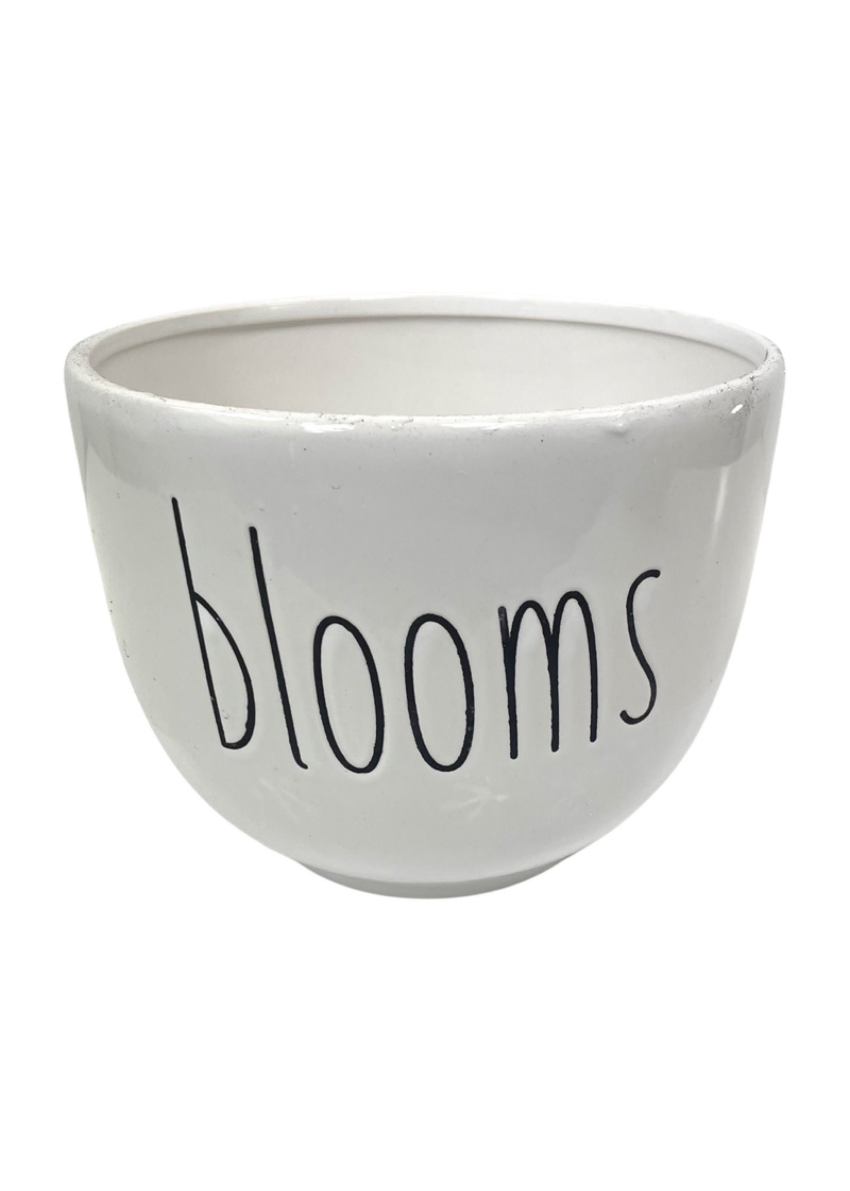 Ceramic 'Blooms' Planter 8 inch