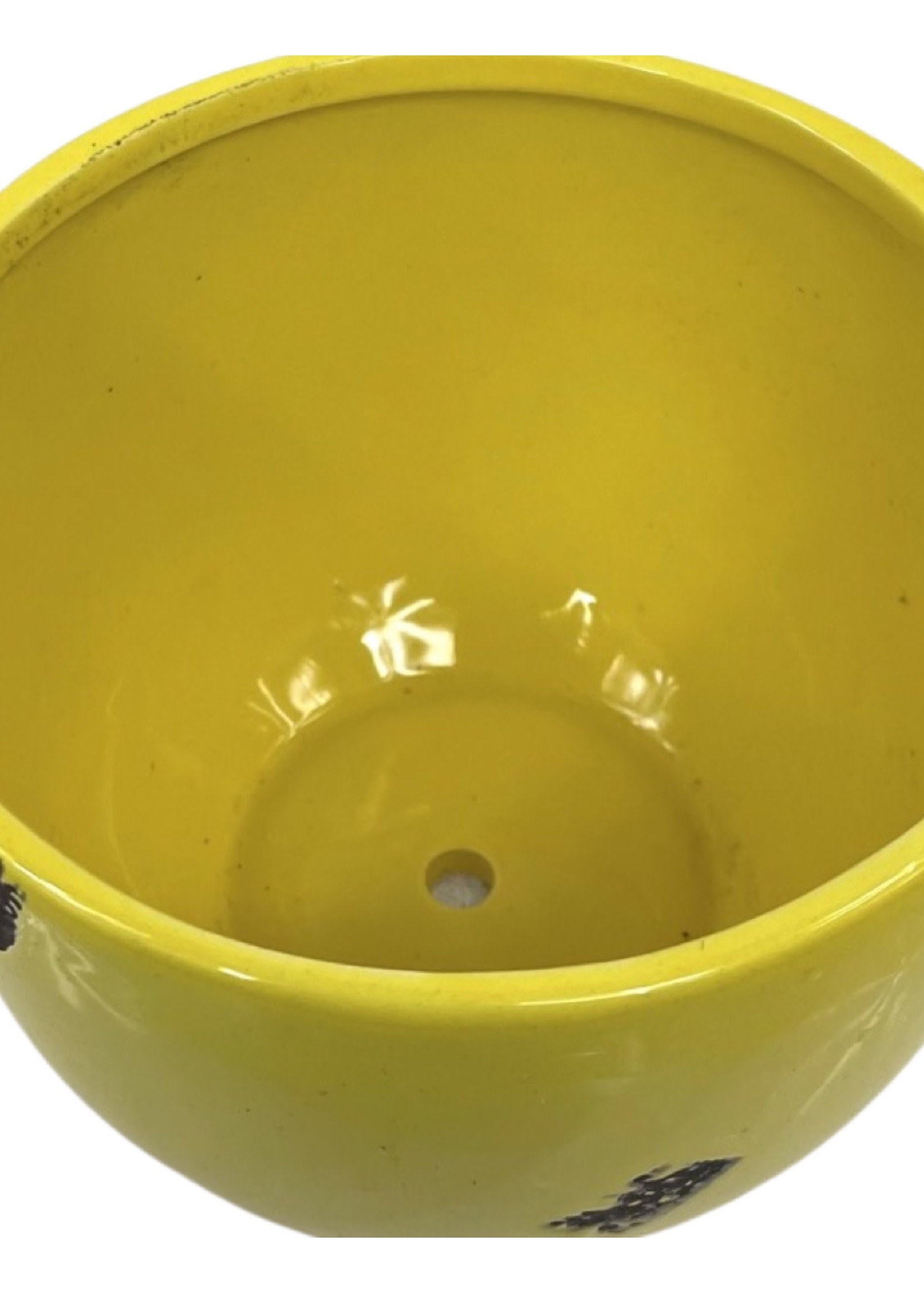 Tea Cup Yellow Ceramic 6 Inch