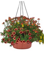 TTSC Hanging Basket 12 Inch