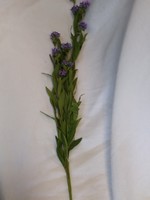 35" Small Purple Flower Spray
