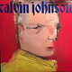 Calvin Johnson - A Wonderful Beast - Vinyl, LP, Album - 325567811