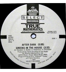 True Mathematics, The Invisible Empire (2) - After Dark - Vinyl, 12", 33 ⅓ RPM, Promo - 466877554
