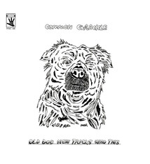 Common Grackle - Old Dog New Tricks Who This - Vinyl, LP, Album - 819220183