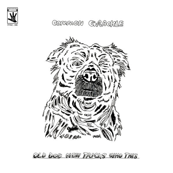 Common Grackle - Old Dog New Tricks Who This - Vinyl, LP, Album - 819220183