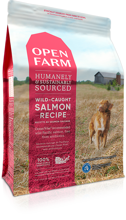 Open Farm Wild Caught Salmon Freeze Dried