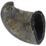 QT Dog QTDOG Buffalo Horn Small Dog Chew