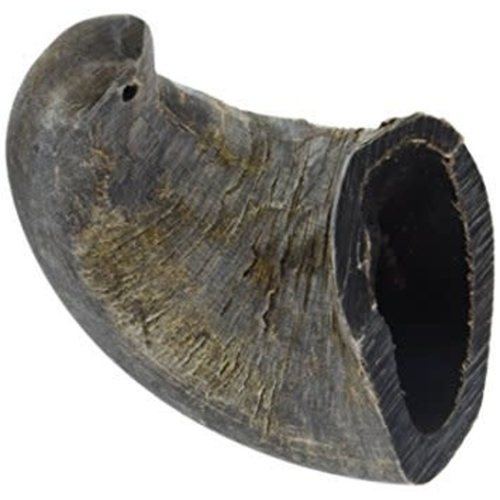 QT Dog QTDOG Buffalo Horn Small Dog Chew