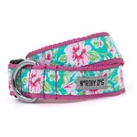 Worthy Dog The Worthy Dog Collar Dog Watercolor Floral