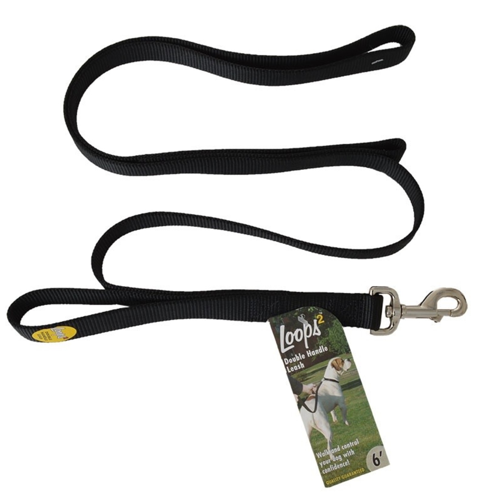 Coastal Pet Products COAST 1" Double Handle Leash 4ft Dog