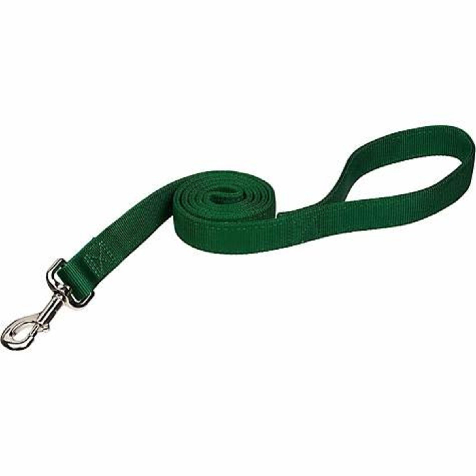 Coastal Pet Products COAST 1" Leash 6ft Dog