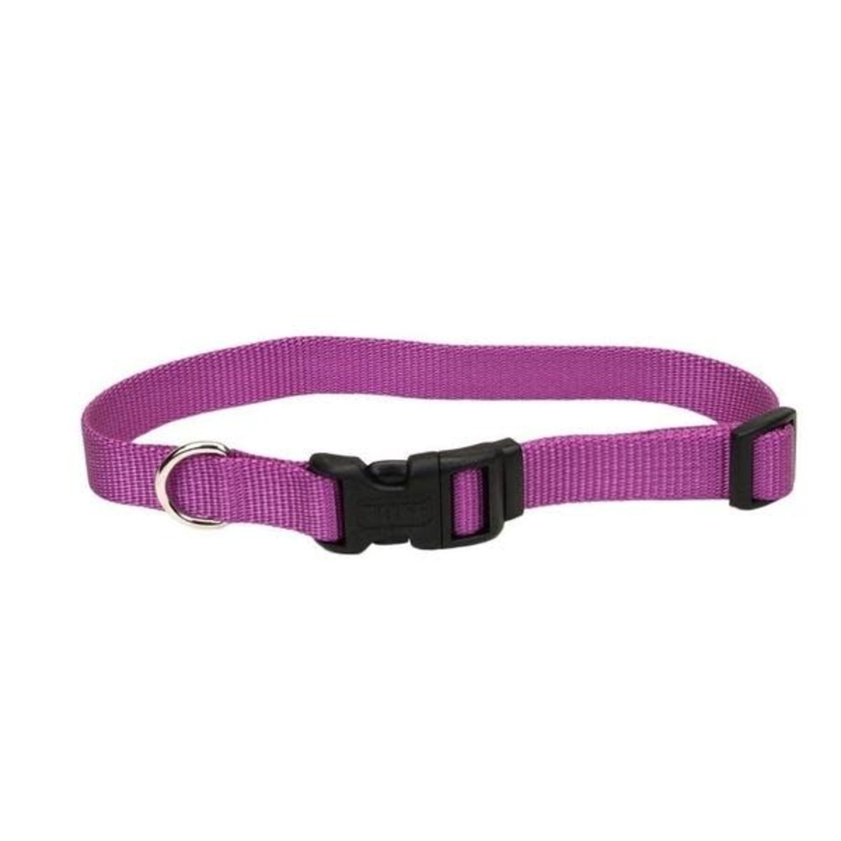 Coastal Pet Products COAST 3/4" Adj Collar Dog MD 14-20"