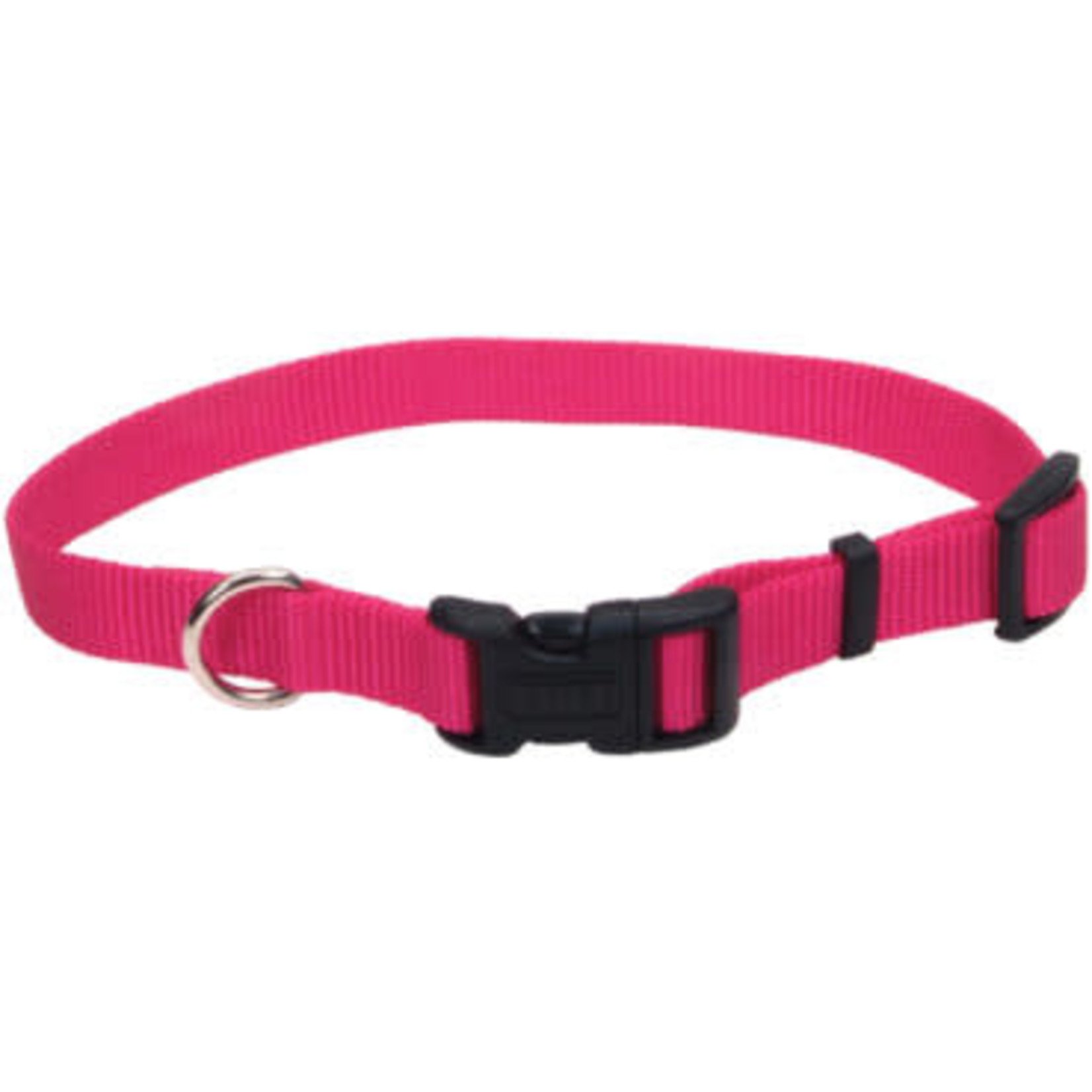 Coastal Pet Products COAST 3/4" Adj Collar Dog MD 14-20"