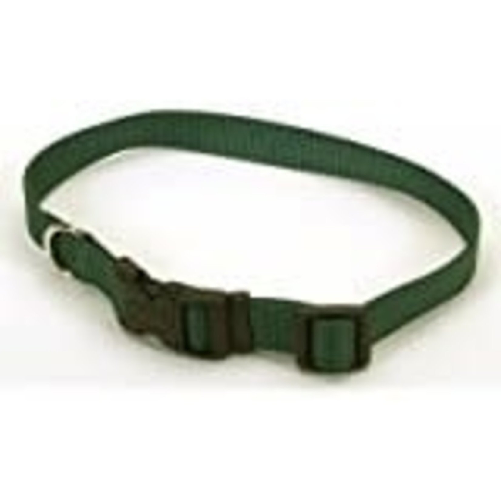 Coastal Pet Products COAST 3/8" Adj Collar Dog XS 8-12"