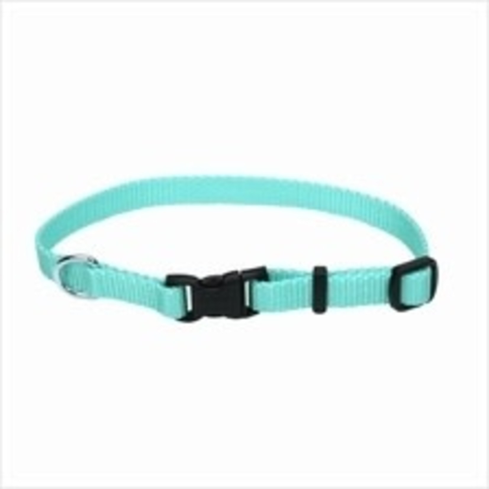 Coastal Pet Products COAST 3/8" Adj Collar Dog XS 8-12"