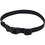 Coastal Pet Products COAST 5/8" Adj Collar Dog SM 10-14"