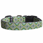 MOLLYMUTT Leaves of Grass Dog Collar