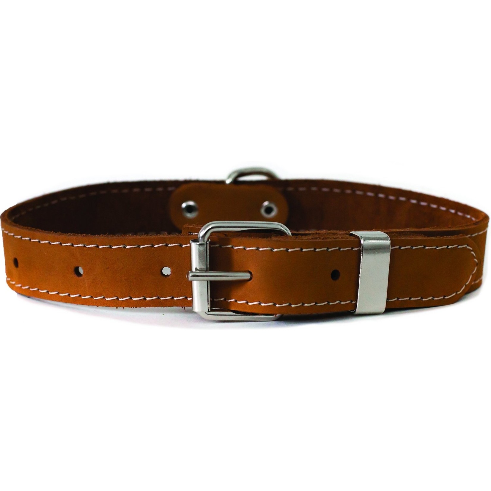 Euro-Dog EURO-DOG Bark Brown Leather Dog Collar - Final Sale - No returns/exchanges