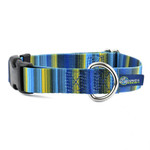 2 Hounds Design 2HOUNDS Martingale w Buckle Collar 1" Dog