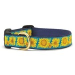 Up Country UPCOUNTRY Sunflower Dog Collar