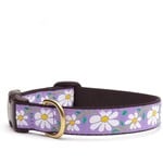 Up Country UPCOUNTRY Daisy Dog Collar