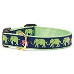 Up Country UPCOUNTRY Leader Of The Pach Dog Collar