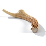 Buck Bone BUCK BONE Whole Deer Antler Medium