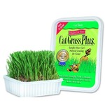 Miracle Care MIRACLE CARE Gimpet Cat Grass 150g