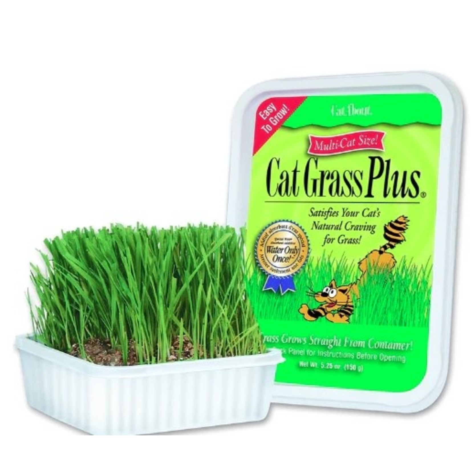 Miracle Care MIRACLE CARE Gimpet Cat Grass 150g