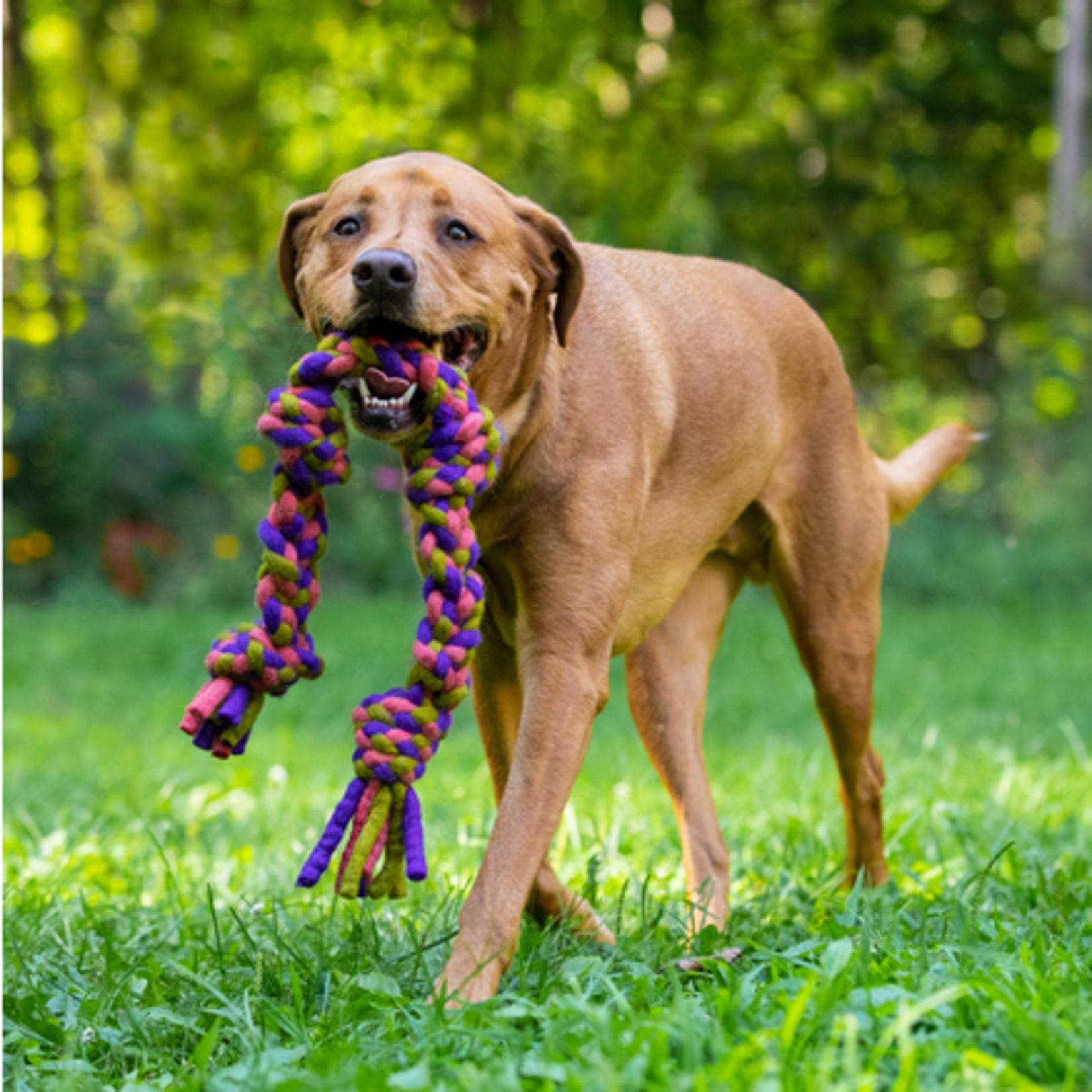 Dharma Dog DHARMA DOG Rope Toy 3 Knot 15" Purple/Pink *Discontinued*