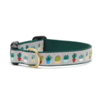 Up Country UPCOUNTRY Planted Dog Collar