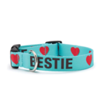 Up Country UPCOUNTRY Sport Bestie Dog Collar