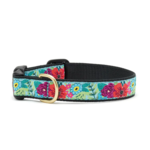 Up Country UPCOUNTRY Flower Story Dog Collar