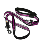 Kurgo KURGO Leash Quantum Raspberry