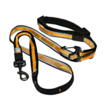 Kurgo KURGO Leash Quantum Black/Orange