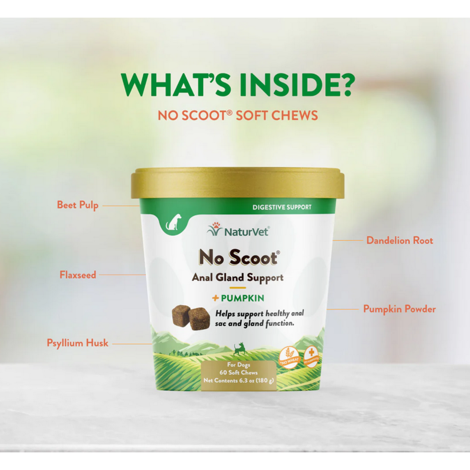 Naturvet NaturVet No Scoot Anal Gland Support with Pumpkin Soft Chews 60 Count